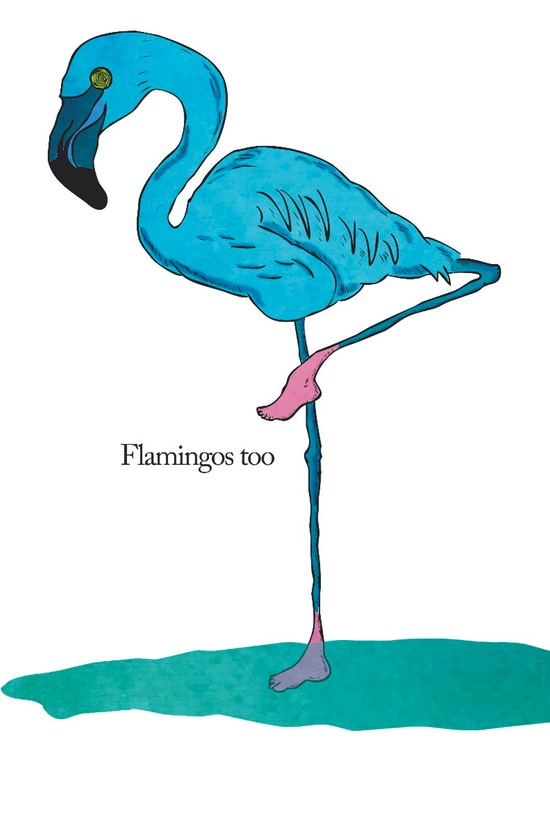 p12 - flamingos too