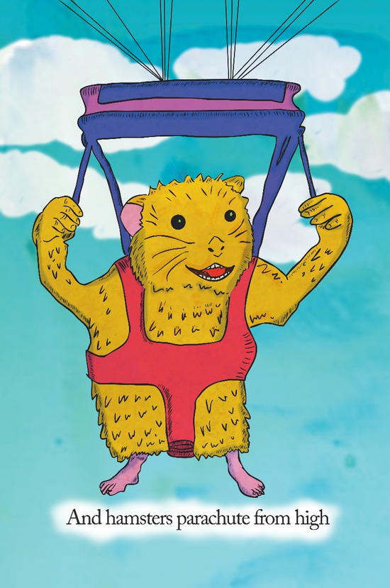 p16 - hamsters parachute