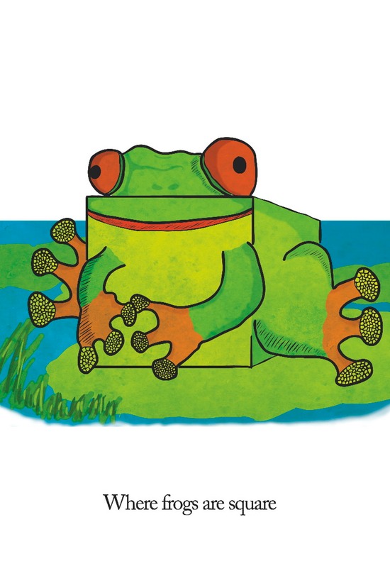 p19 - frogs