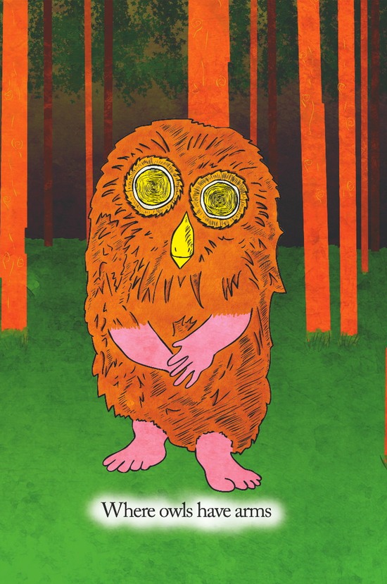 P3 Where owls have arms