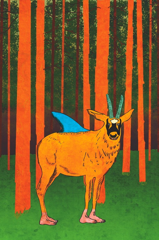 P6 - antelopes